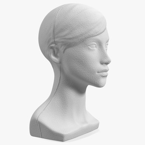 3D Styrofoam Female Mannequin Head with Hair