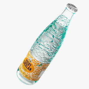 3D Bottle of Vichy Catalan Water Orange