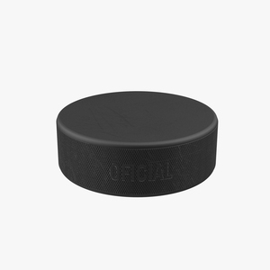 3D Hockey Puck