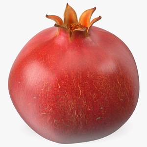 3D Fresh Pomegranate Fruit model