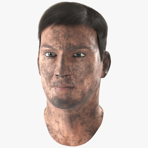 3D model Miner Head Dirty Fur