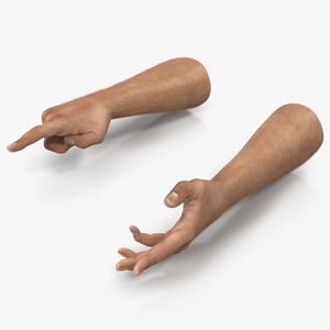 3D model Man Hands with Fur Rigged