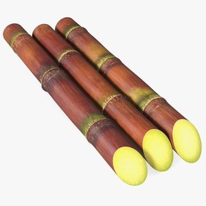 Brown Sugarcane Sticks 3D