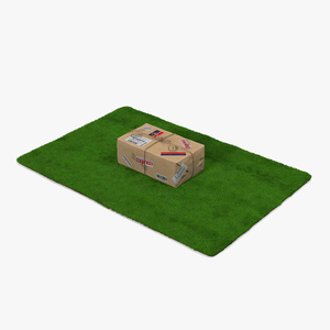 Mail Package on Doormat Fur 3D