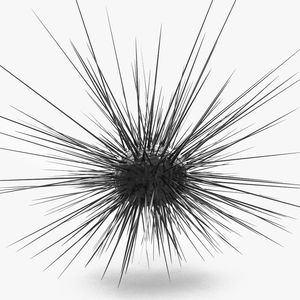 3D model Sea Urchin