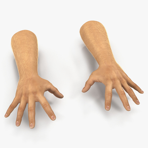 Man Hands 2 with Fur Pose 4 3D