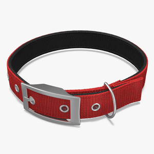 3D Pet Collar with Metal Buckle model