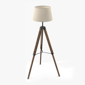 Tripod Floor Lamp 3D