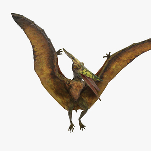 3D model Pteranodon Flying Carnivorous Reptile Landing Pose