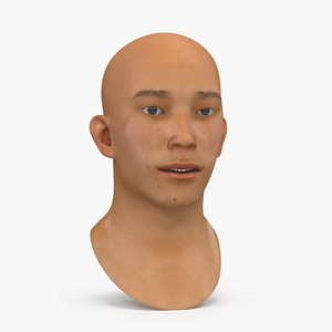 Asian Male Head Rigged 3D