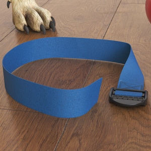 3D model Collar Pet Blue