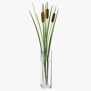 3D Cattail in Glass Vase