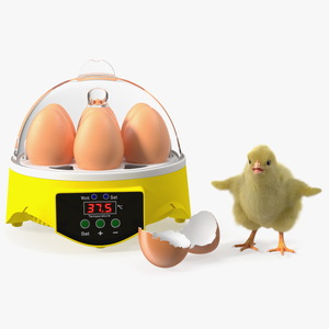 3D Egg Incubator With Chick Fur model