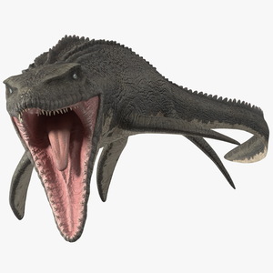 Mosasaurus Attack 3D