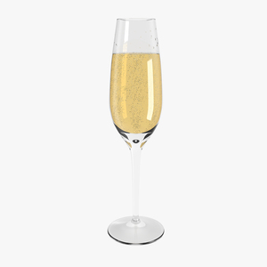 3D model Champagne Glass