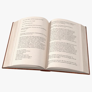 3D Open Hardcover Book English Text Red