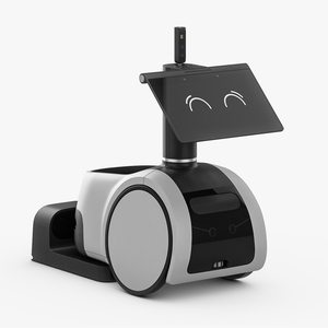 3D Household Robot Smile