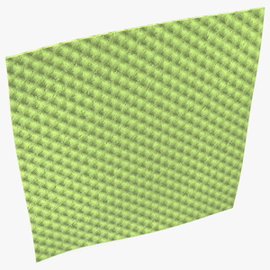 3D model New Dish Cloth Green