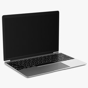 3D Silver Thin Laptop model