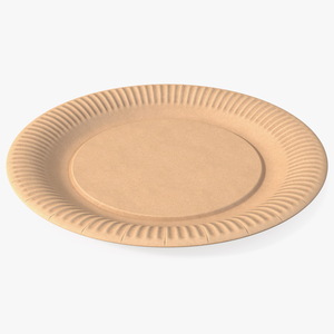 3D model Cardboard Plate