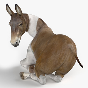 3D model Lying Mule