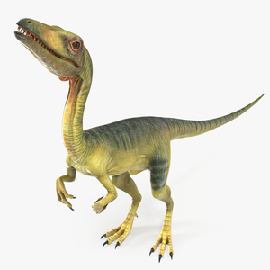 3D model Dinosaur Compsognathus Worried Pose