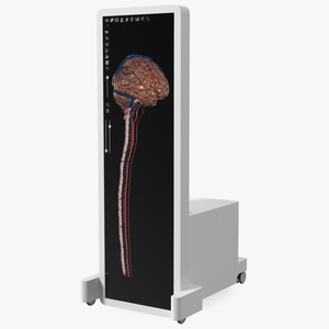 Vertical Interactive Desktop Display Brain Device 3D model