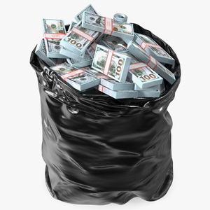 3D Trash Bag Full of Money model