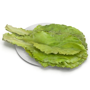 Lettuce Leaf Pile 3D