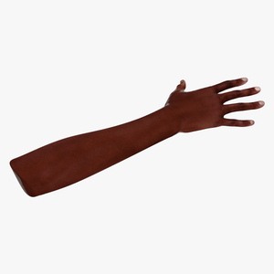 3D model Dark Skinned Woman Hands Rigged for Maya