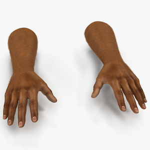 3D African Man Hands 3 with Fur model