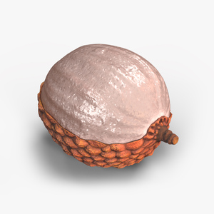 3D model Half Peeled Lychee Yellow