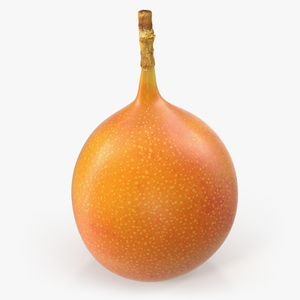 3D Exotic Fruit Granadilla model