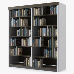 3D model Large Bookshelf