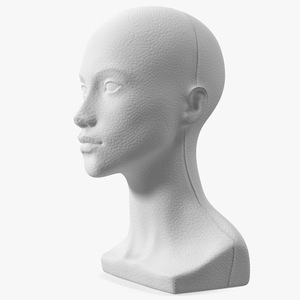 3D Styrofoam Woman Mannequin Head White