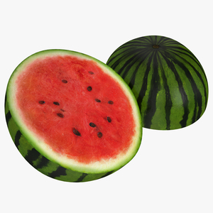 3D Watermelon Cross Section 3