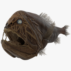 3D Fangtooth Fish 2