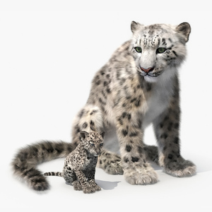 Snow Leopard Mother and Calf Fur 3D