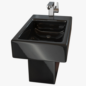 3D Black Modern Bidet model