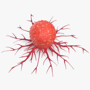 Tumor Cell Red 3D model