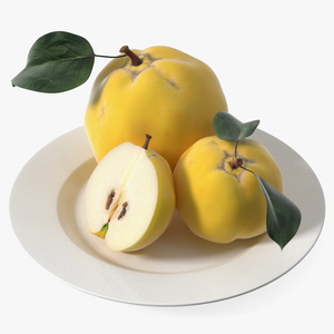 3D model Quince on Plate