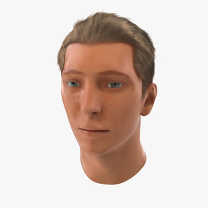 3D Male Head with Hair 2