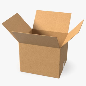 3D Opened Blank Cardboard Box