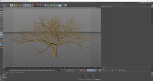 3D model Naked Tree