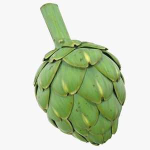 Artichoke 3D model