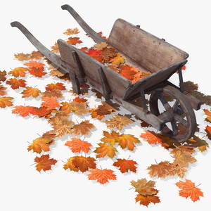 3D Old Wheelbarrow and Leaves