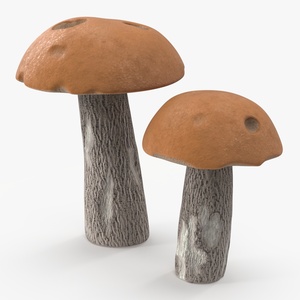 Brown Cap Boletus 3D