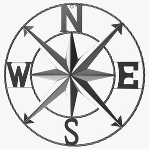 Compass Rose Silver 3D model