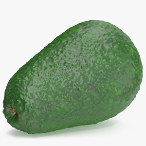 Avocado Fuerte 3D model