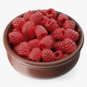 Raspberries in Bowl 3D model